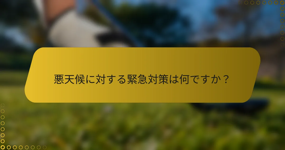 悪天候に対する緊急対策は何ですか？